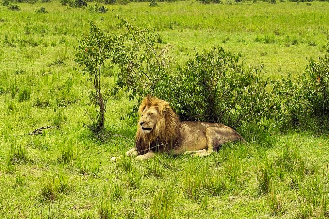 Kenya’s Untamed Treasure