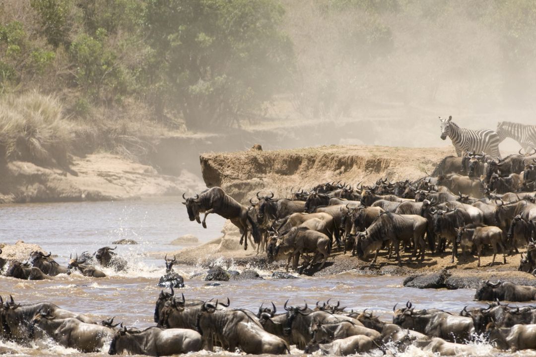 The Great Migration Trail