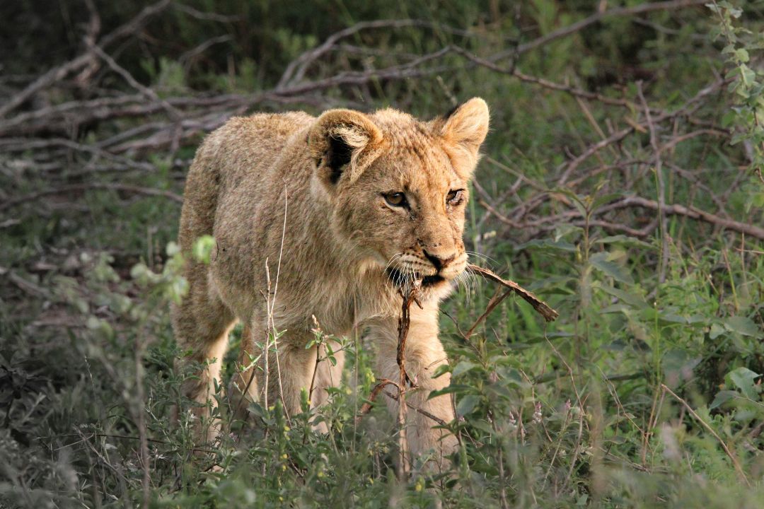 Tarangire National Park