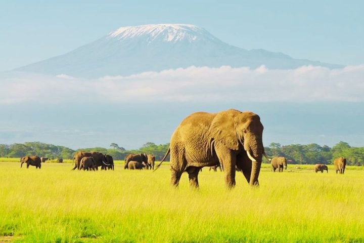 Kenya