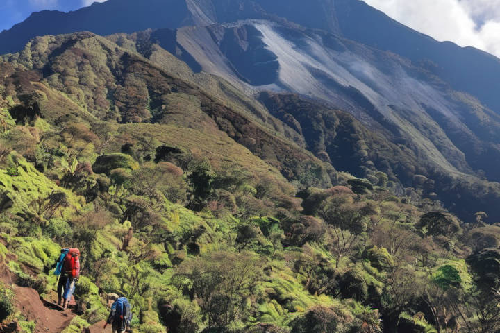 Mount Meru Mountain
