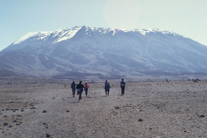 kilimanjaro