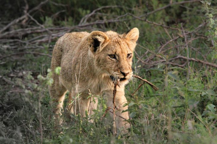 Tarangire National Park (1)