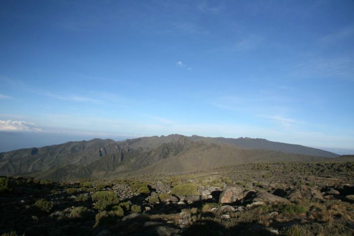 kilimanjaro (2)