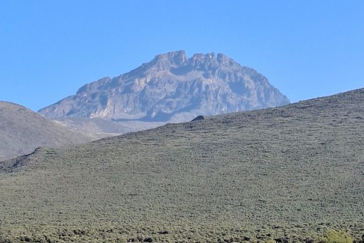 kilimanjaro