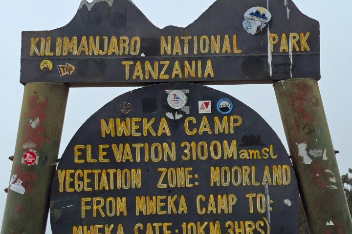 kilimanjaro