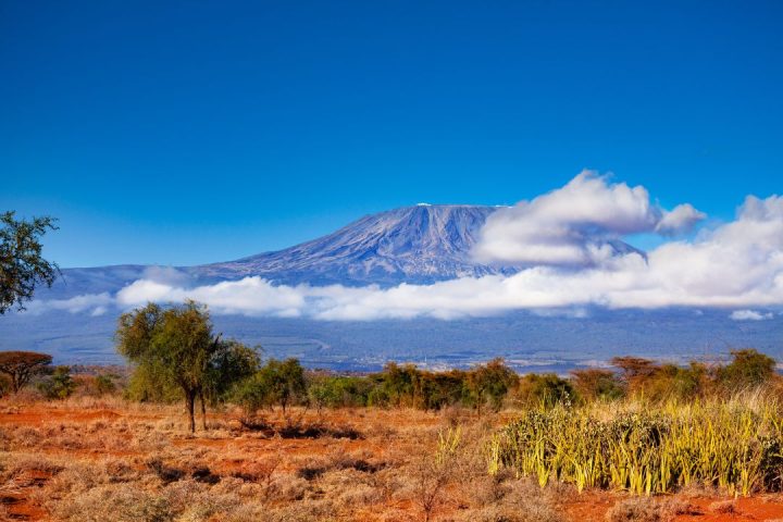 kilimanjaro (5)