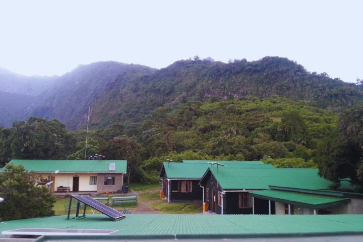 kilimanjaro