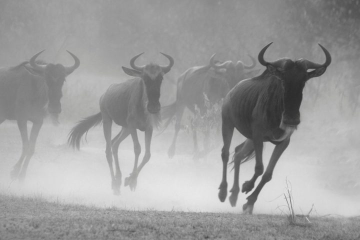 the-great-migration-guide-2026